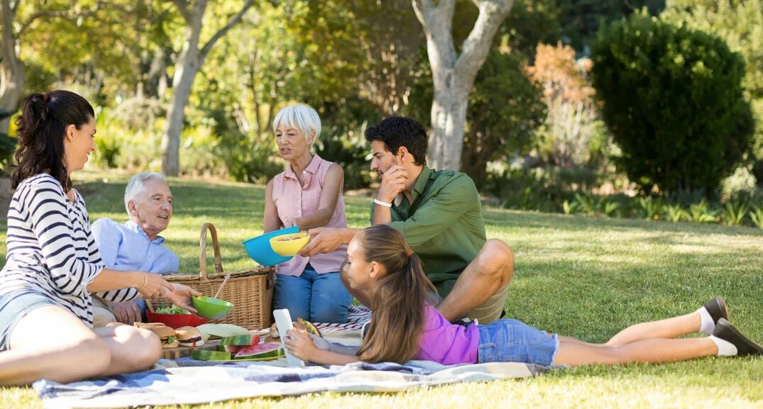 You are having a picnic. Игра веселый пикник. много друзей на пикнике. family picnic. picnic in the park.