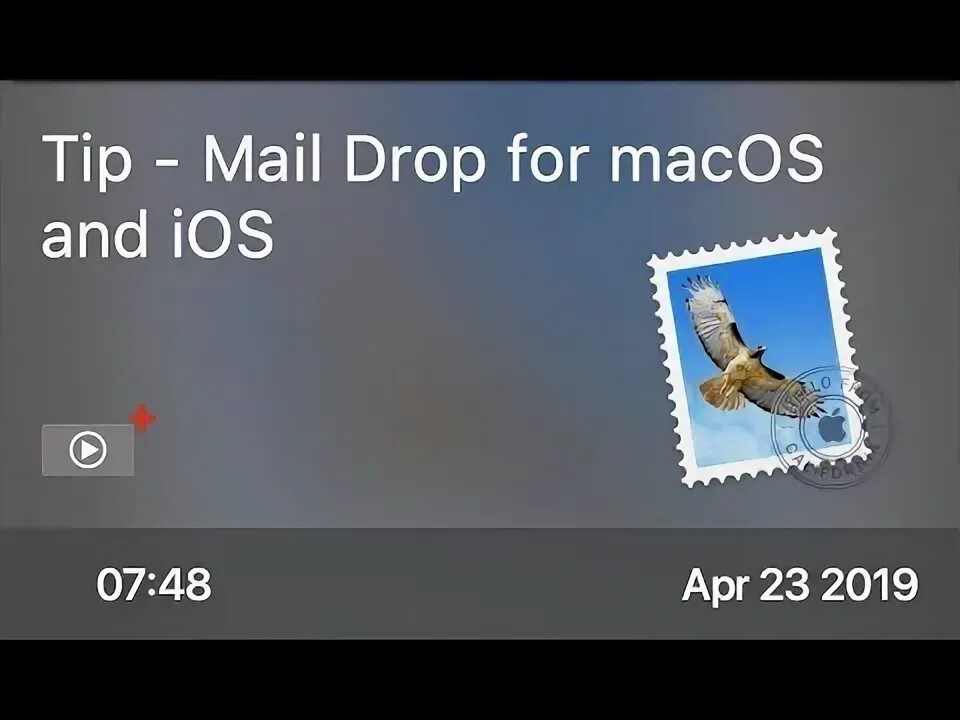 Allow drop. Allow drop