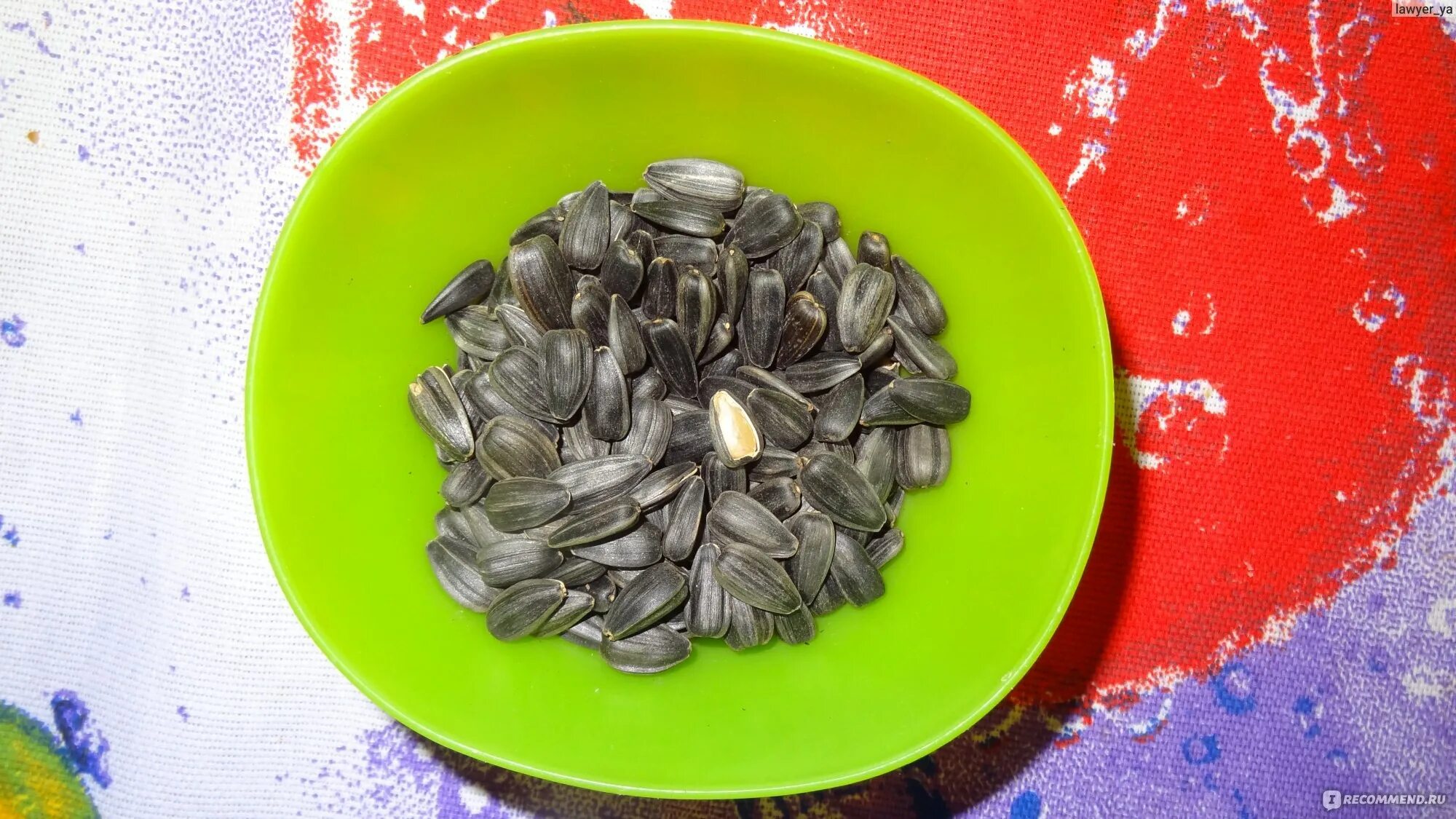 Малазийские семечки. Семена подсолнечника. Семечки горчат. Семена цитварной полыни. Семечки горчат.