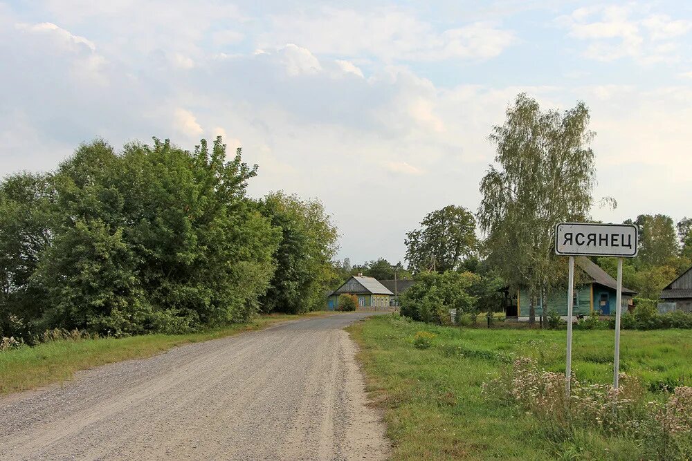 Погода в ясенцах. Деревня Ясенцы. Д Ясенцы Павловский район. Нижегородская обл деревня Ясенцы. Ясенец (Ганцевичский район).