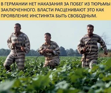 О где же ты брат 2000