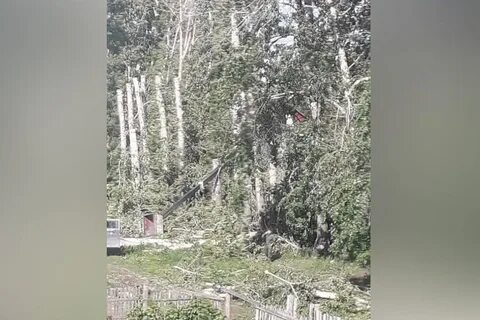 Упала новосибирск