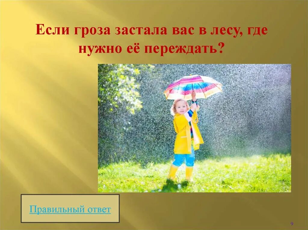 Что делать если застала гроза. Если гроза застала в лесу. Если гроза застала вас в лесу. Что делать если гроза в лесу. Если вас в лесу застигла гроза.