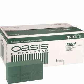 Max oasis x