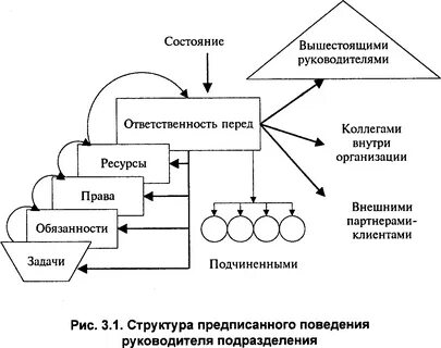 Структура организация и поведение систем