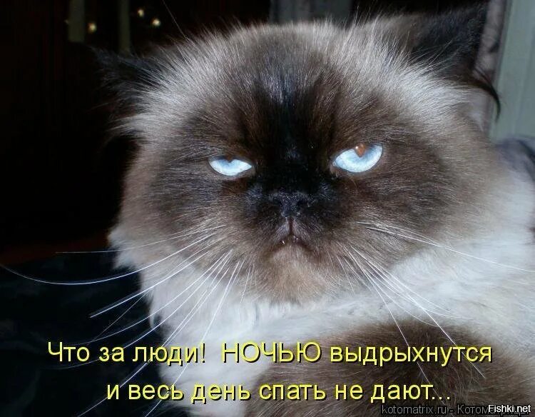 Давай очень смешную