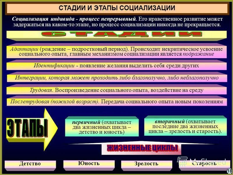 Социализация два предложения. Социализация два предложения