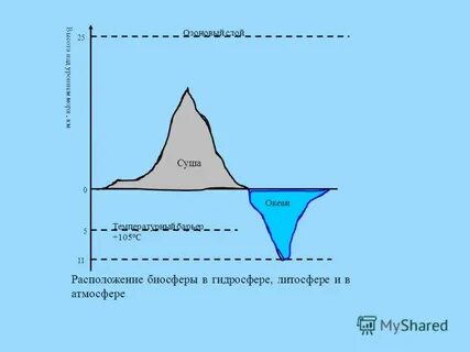 Уровни разных морей