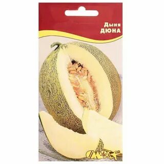 Дыня дюна