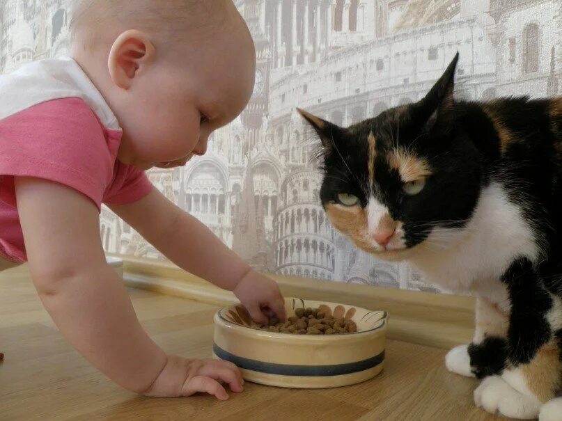 Дети и животные приколы. Для детей. Котёнок-ребёнок. Кошка и младенец. Кот для детей.