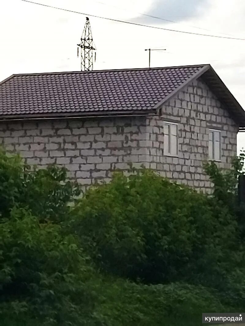 сады беловых воронеж. сота феодосия. сады беловых воронеж. партнер питомник помидоры. сады беловых.