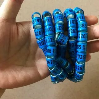 Окольцевать