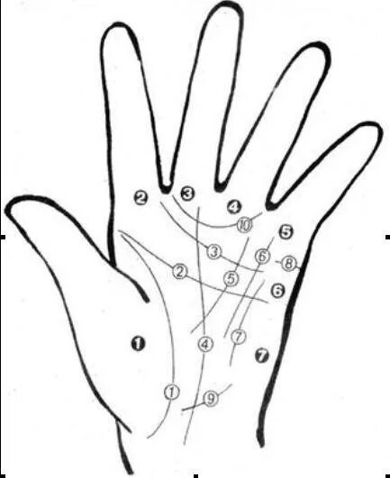 Линия между средним и безымянным пальцем. Хиромантия. Линии под средним пальцем.