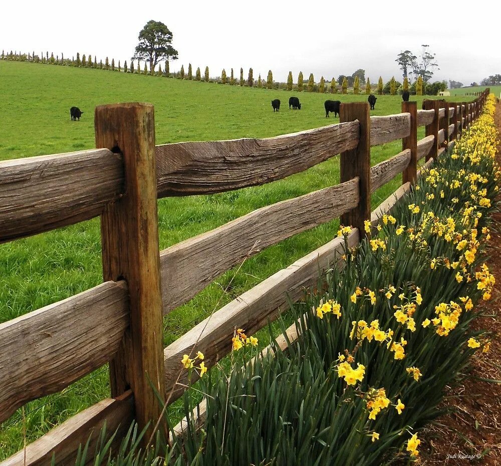 Country post. Деревенский забор. Забор в деревенском стиле. Деревянный забор в деревенском стиле. Изгородь в деревенском стиле.