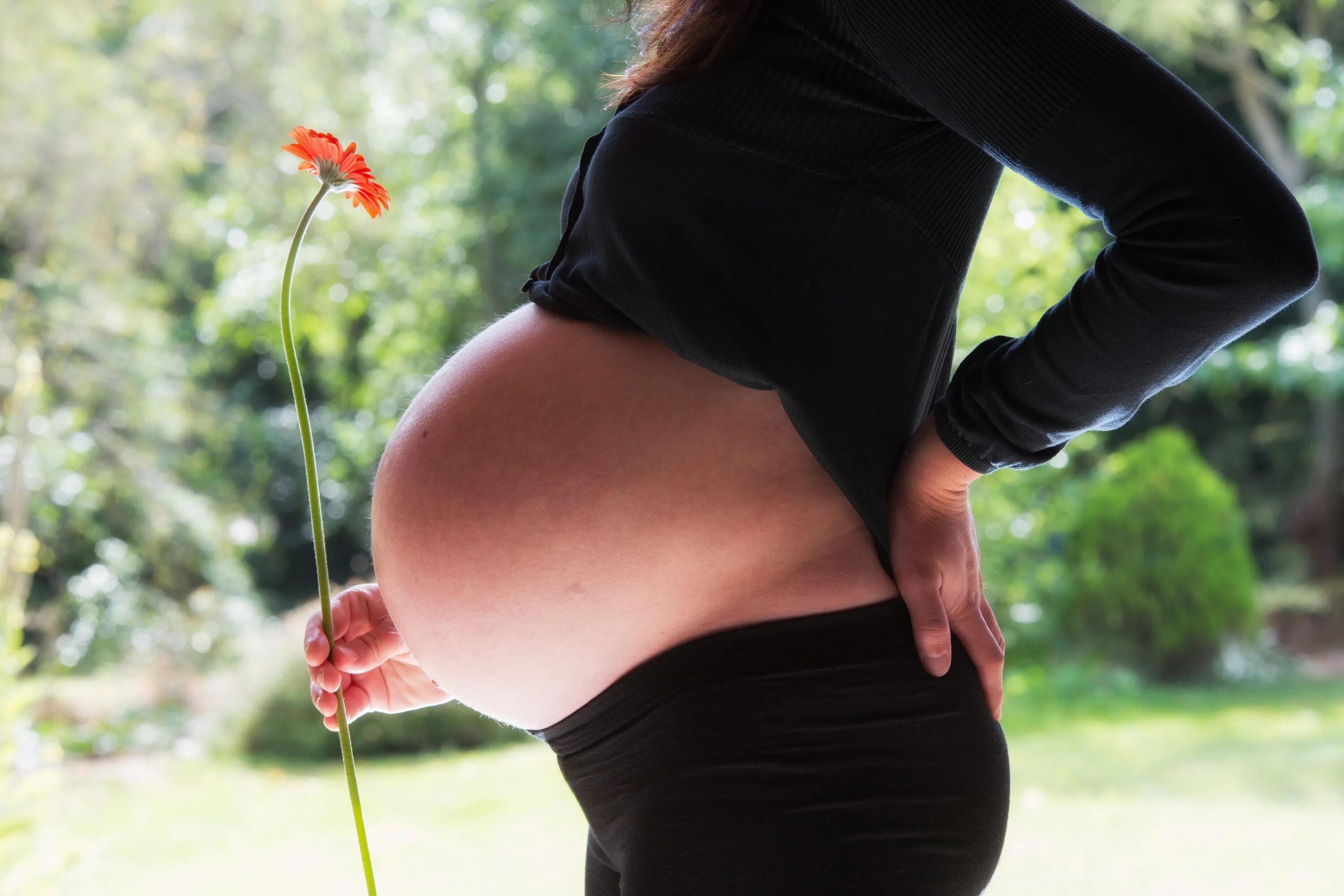 Экватор беременности. Беременные женщины. Беременные животики.