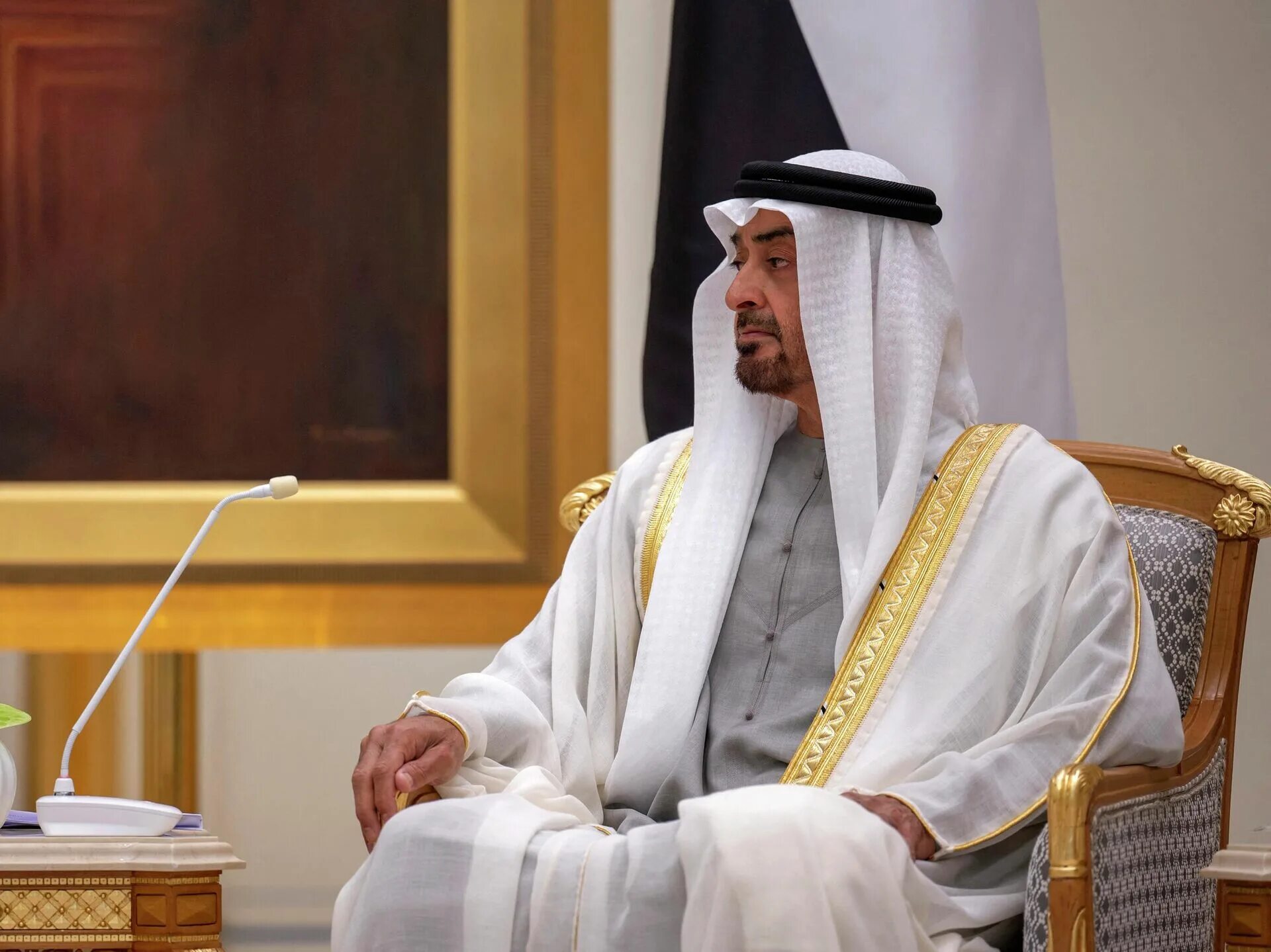 Бен заид аль нахайян. Шейх тамим бин хамад аль тани. Неизвестные арабские страны. Страна арабов. Арабские страны.