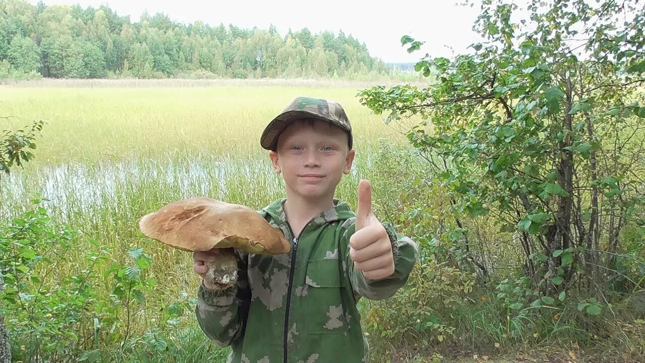 Нормальный мужик видео грибы. Тик так грибочки фото. Мальчик с грибами. Поход грибы. Нормальный мужик последнее видео про грибы.