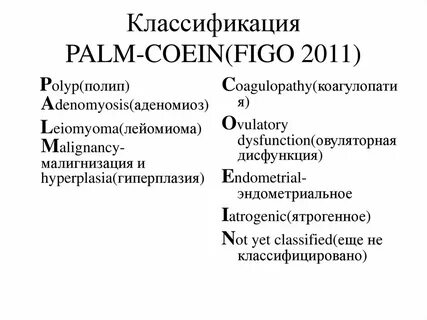 Систематика пальмы