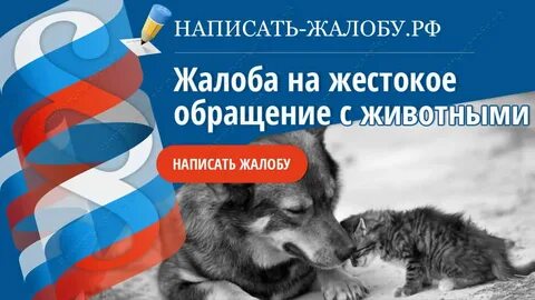 Защита животных куда