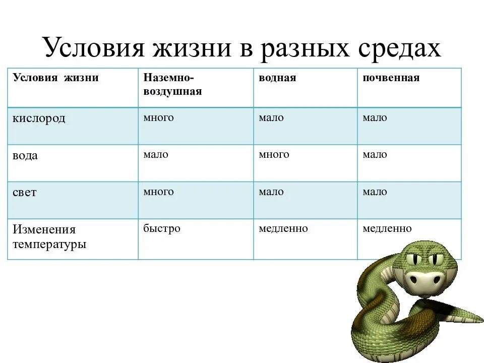 Условия в разных средах жизни. Условия жизни в разных средах. условия жизни пример. условия жизни таблица. условия жизни пример для человека.