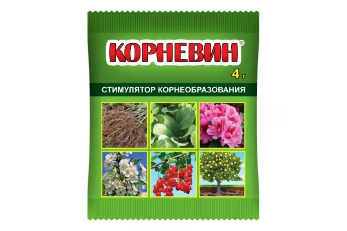 Стимулятор корнеобразования. Корневин стимулятор корнеобразования. Стимулятор корнеобразования. Стимулятор корневин 10гр 100шт сельхозэкосервис. Корневин фаско 4г.