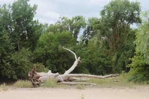 В зеленом острове можно