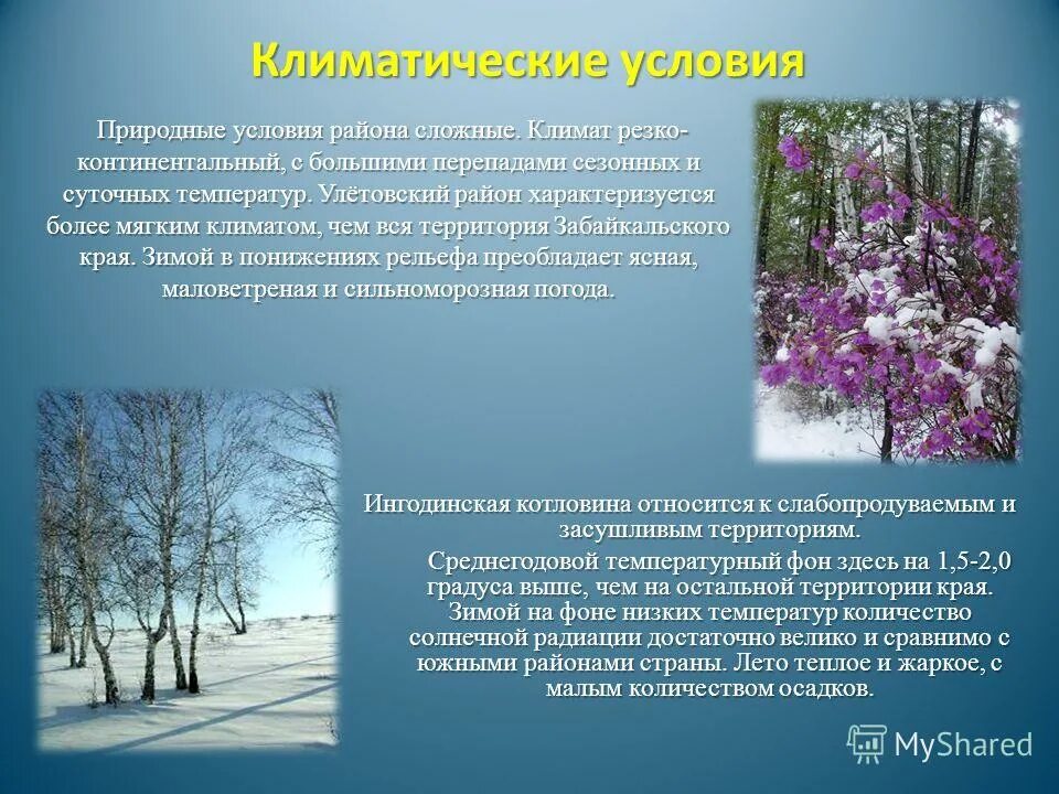 какой климат в бурятии