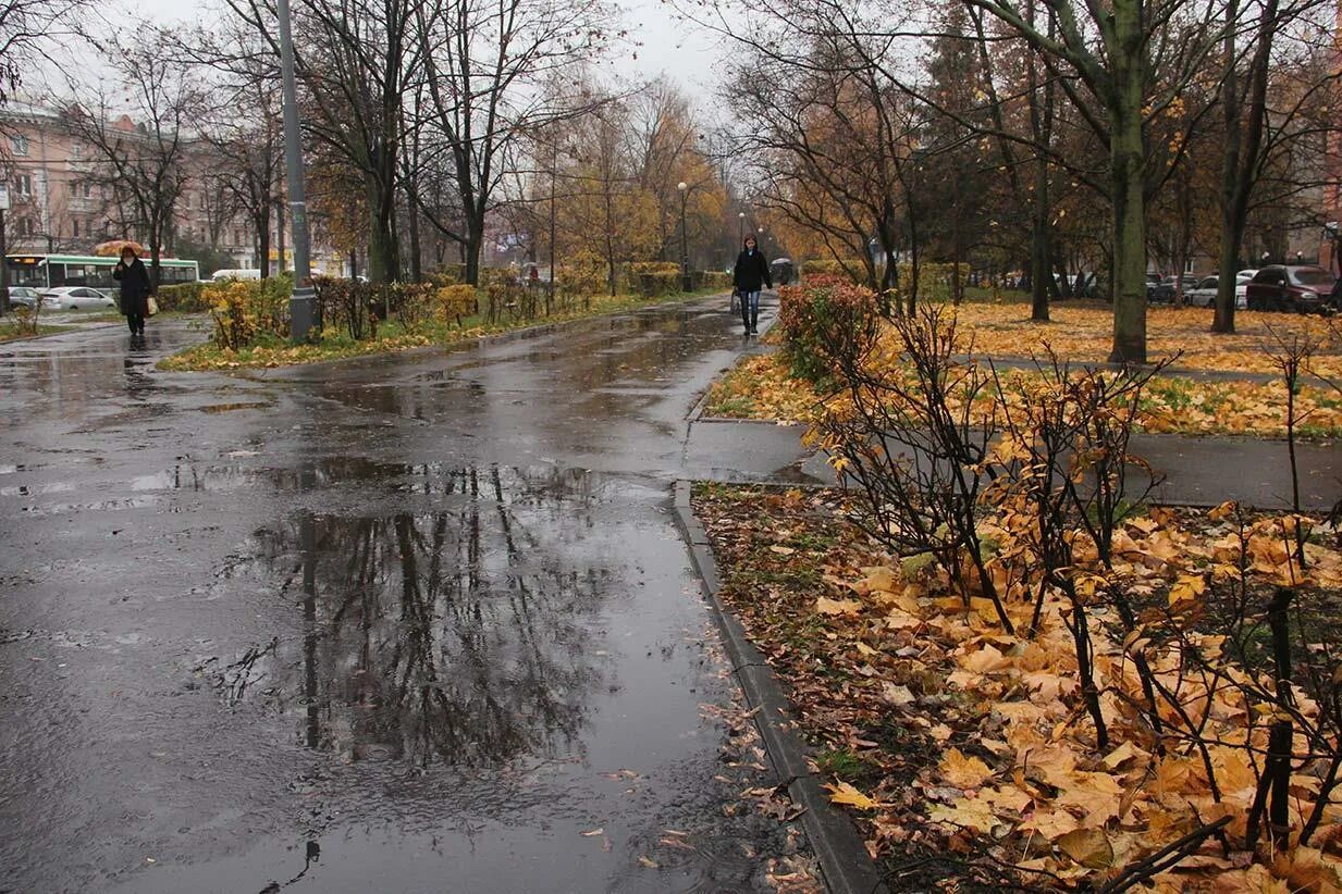 Погода конец сентября октябрь. Ноябрь в городе. Поздняя дождливая осень. Поздняя осень в городе. Осенний дождь в городе.