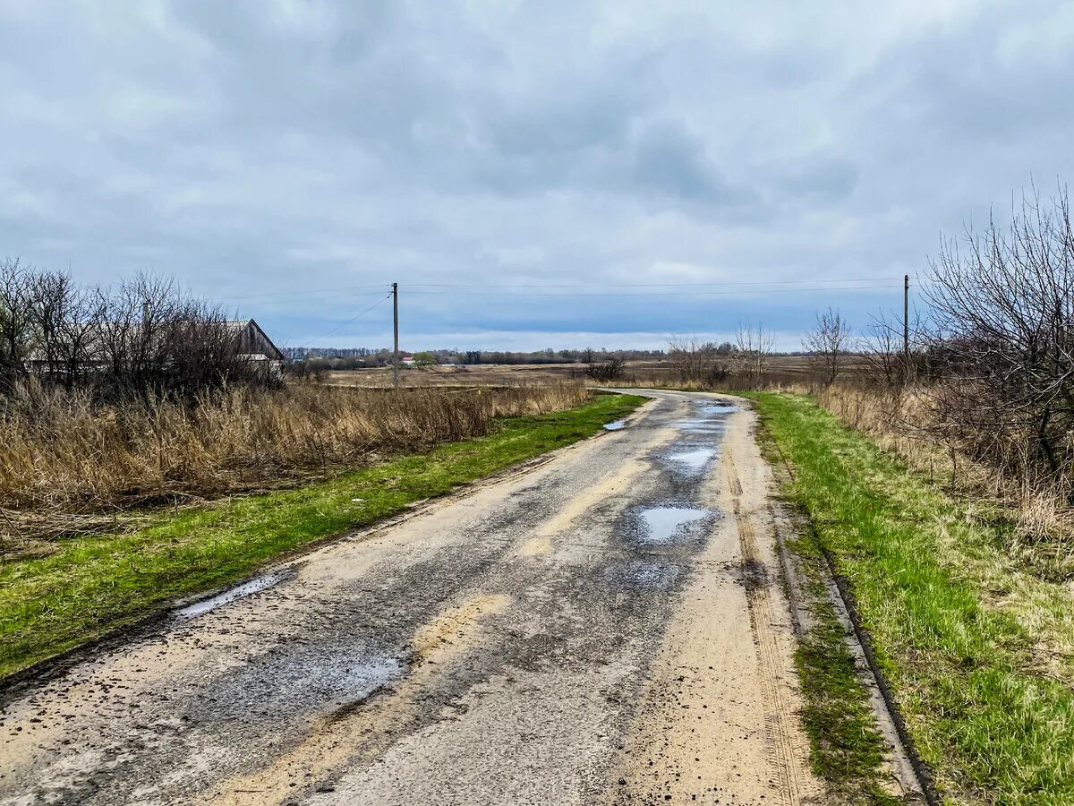 Село Никольское Липецкая область. Никольское (село, Одинцовский район). Село Никольское Белгородская область. Село Никольское новая Москва. Никольское липецкая область погода