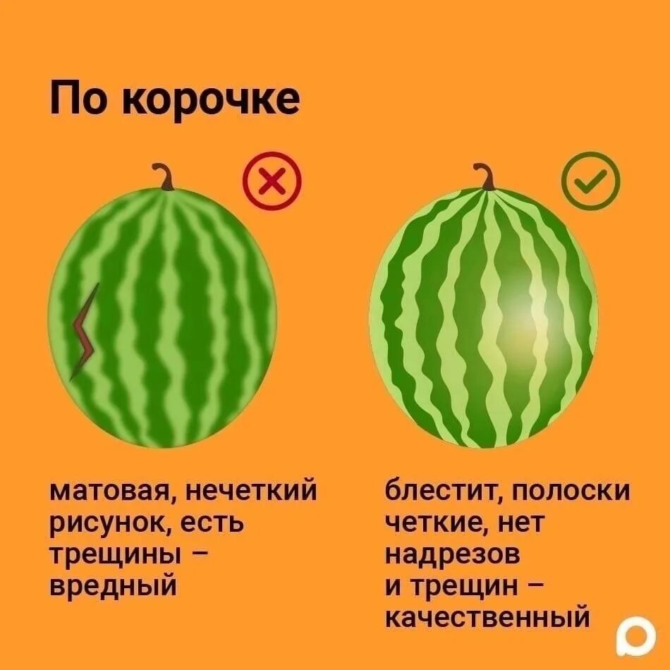 Как в арбузе отличить мальчика от девочку