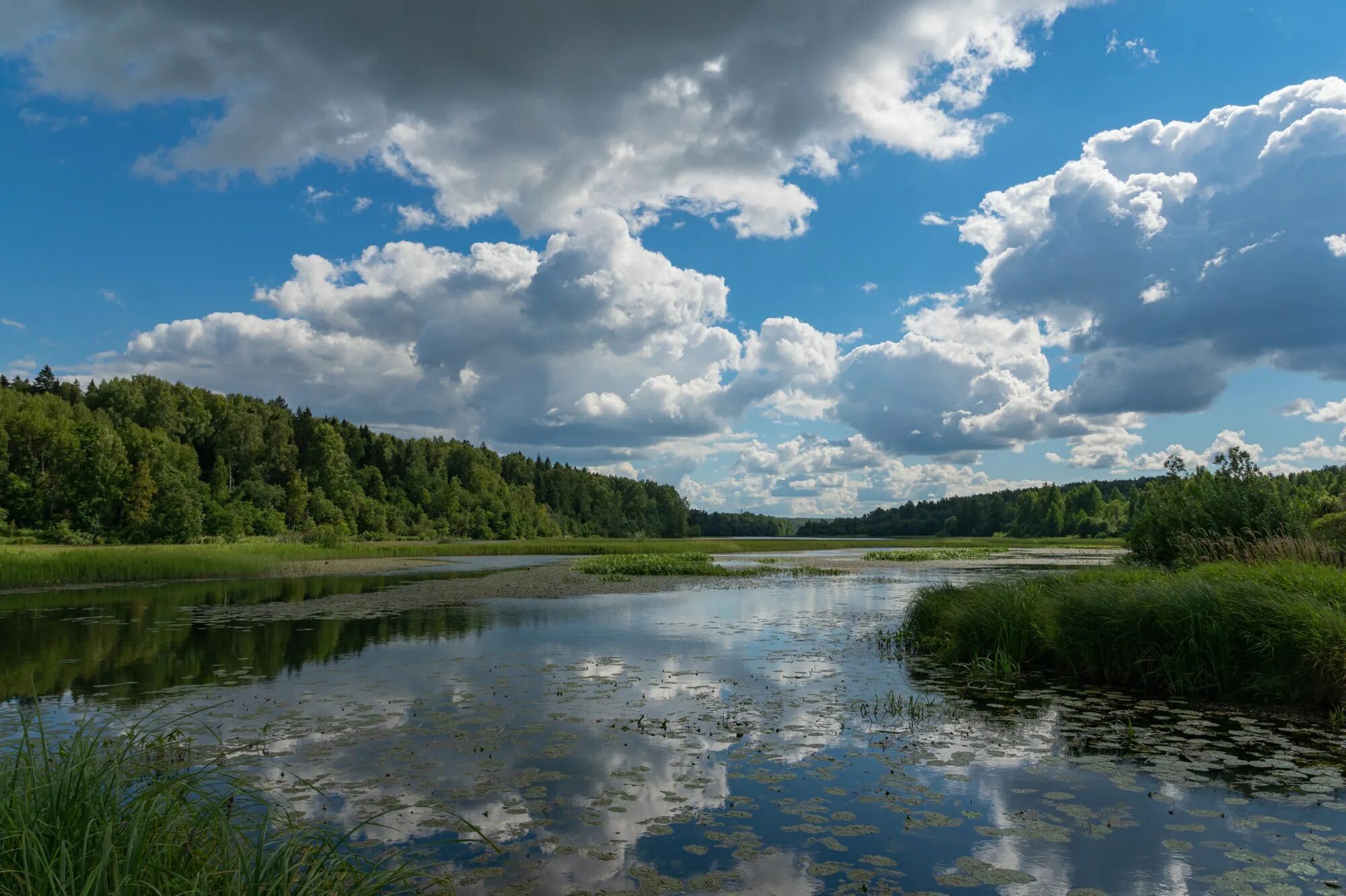 Вода в реке сура. Река Сура в Мордовии. Река Молокча Сергиев Посад. Река Сура Пенза. Река Сура в Пензенской области.