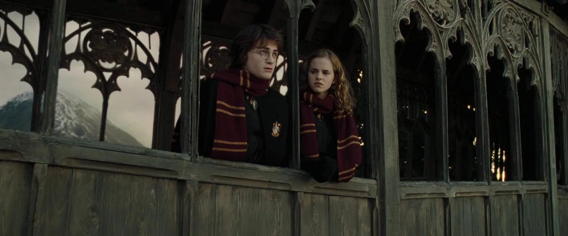 Гарри поттер и кубок огня конец. Гарри и поттер и кубок огня махаор. Поттер и кубок огня режиссерская. Рон уизли кубок огня. Рональд уизли гарри поттер и кубок огня.