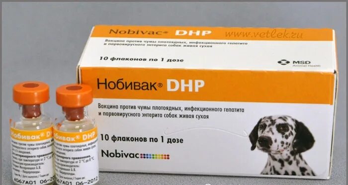 Что дать от чумки