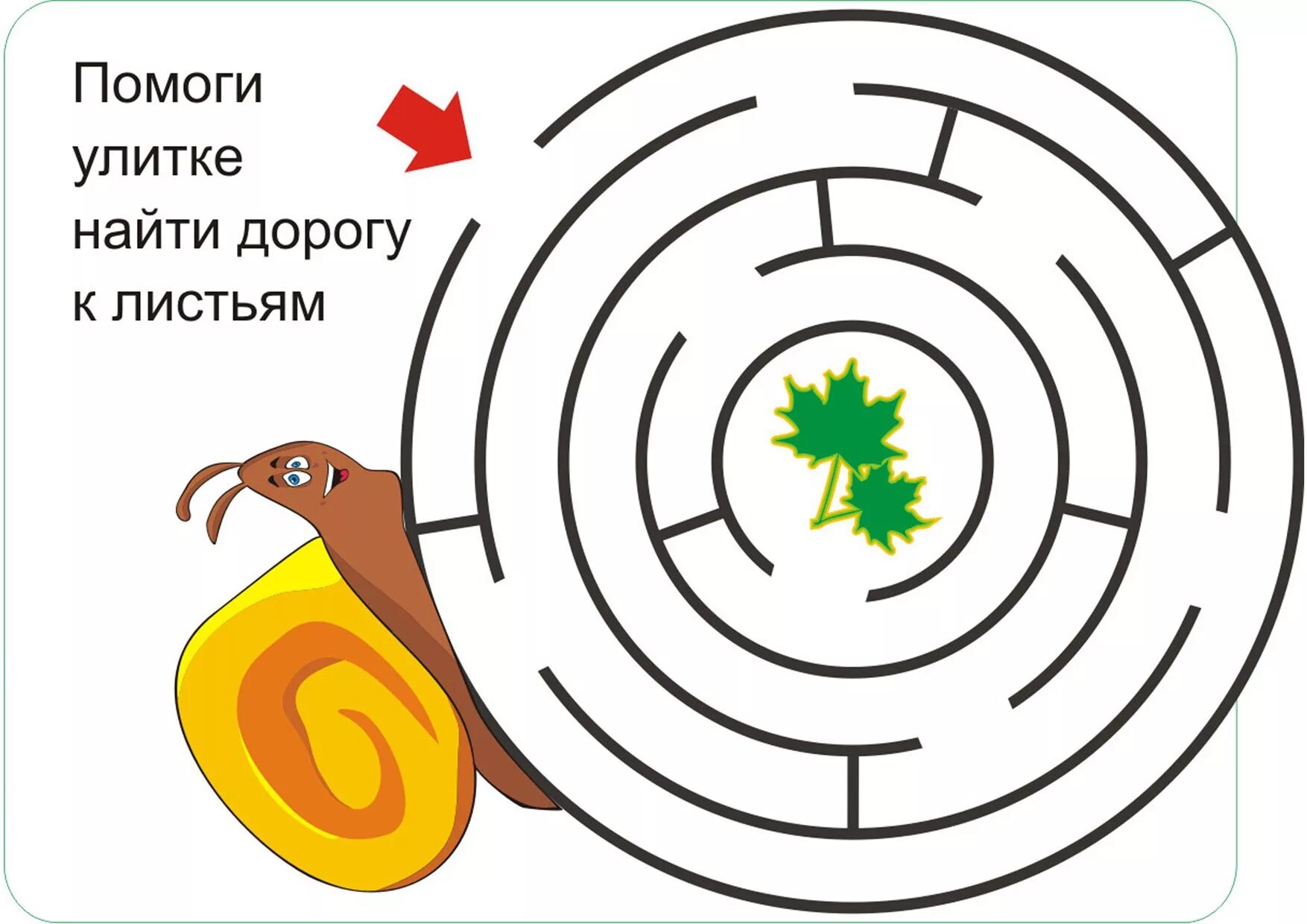 Лабиринты улитки
