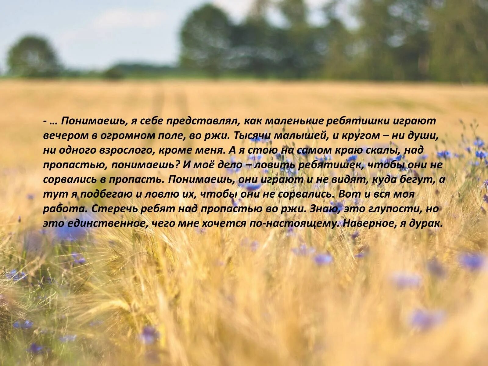 Цитаты про поле. Стихотворение о поле ржи. Цитаты про поле. Высказывание о поле. Поле цитата.