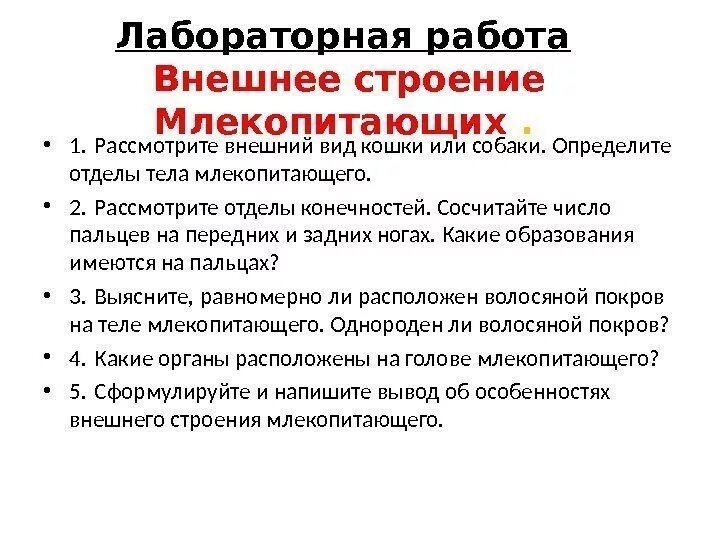 Исследование особенностей скелета млекопитающих ответы. Лабораторная работа внешнее строение млекопитающих. Лабораторная р-та внешнее строение млекопитающих. Особенности строения млекопитающих. Особенности внешнего строения млекопитающих.