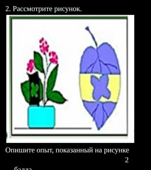 В изображенном рисунке опыте. Опыт изображенный на рисунке демонстрирует. запишите какой опыт изображен на рисунке, опишите его. придумай опыт аналогичный изображенному на рисунке .. рассмотрите рисунок на котором изображены опыты в 1668.