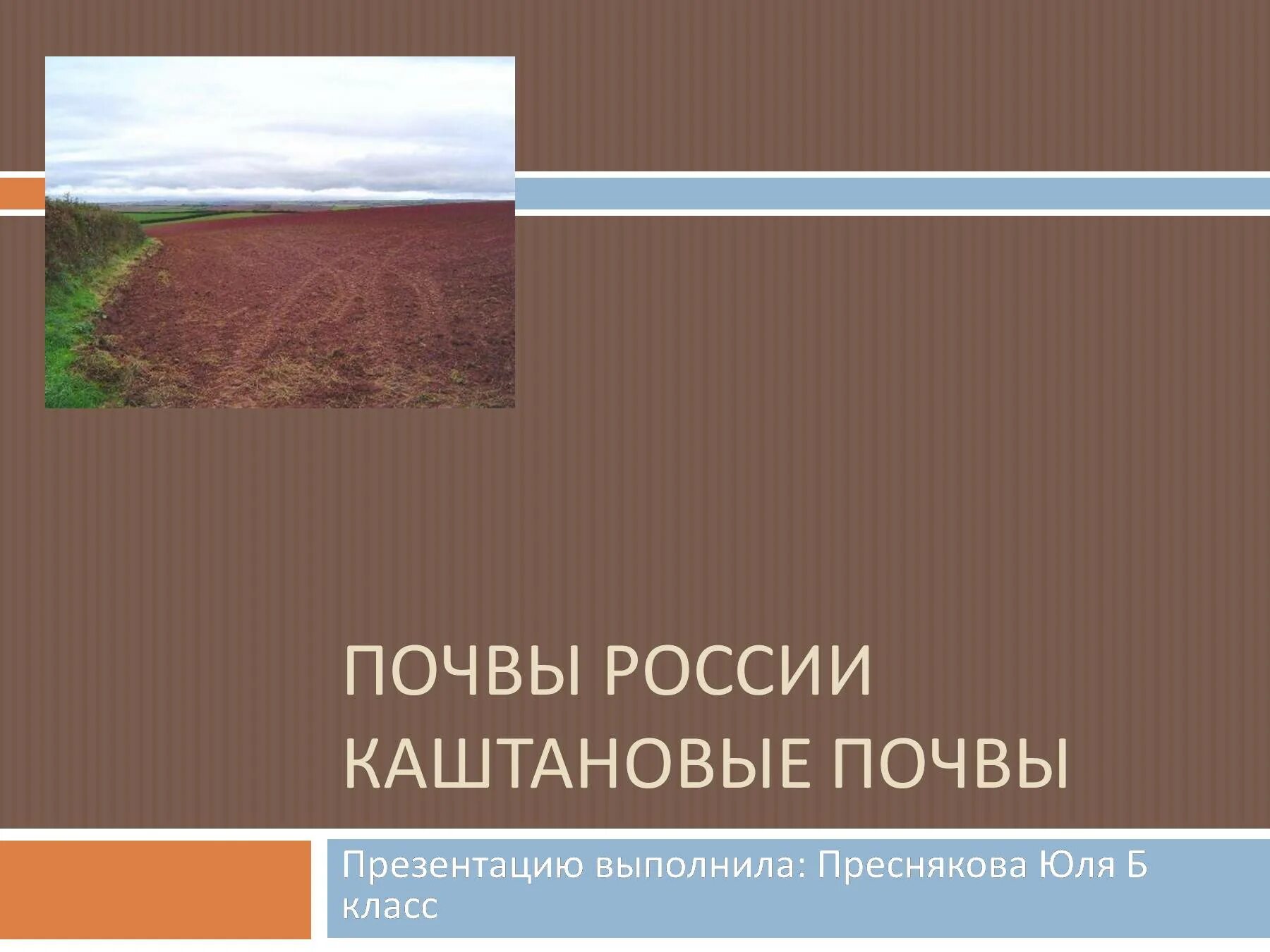 Почвы россии 4 класс 21 век презентация. Почвенный профиль Каштановой почвы. Почвенный профиль темно-Каштановой почвы. Каштановые почвы в России. Каштановые почвы горизонты.