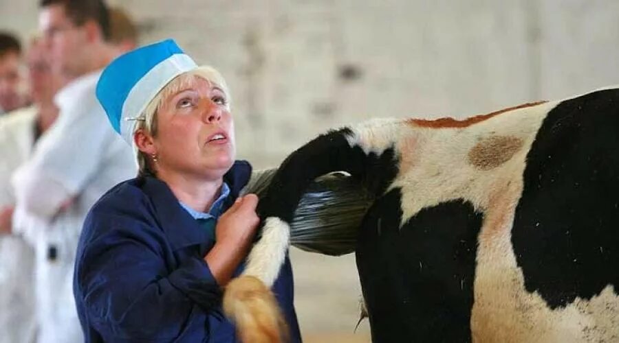 Самая лучшая профессия. Чистильщик канализации в индии. Самые отвратительные профессии в мире. Индия профессии чистильщик канализации. Самые отвратительные профессии.