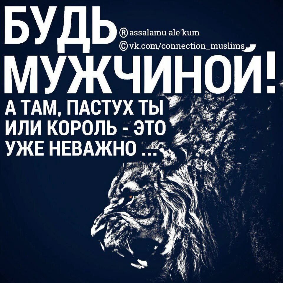 Будь мужчиной а там пастух. Будь мужчиной а там пастух или Король не важно. Не важно пастух ты или князь будь мужчиной. Пастух ты или Король. Там неважно