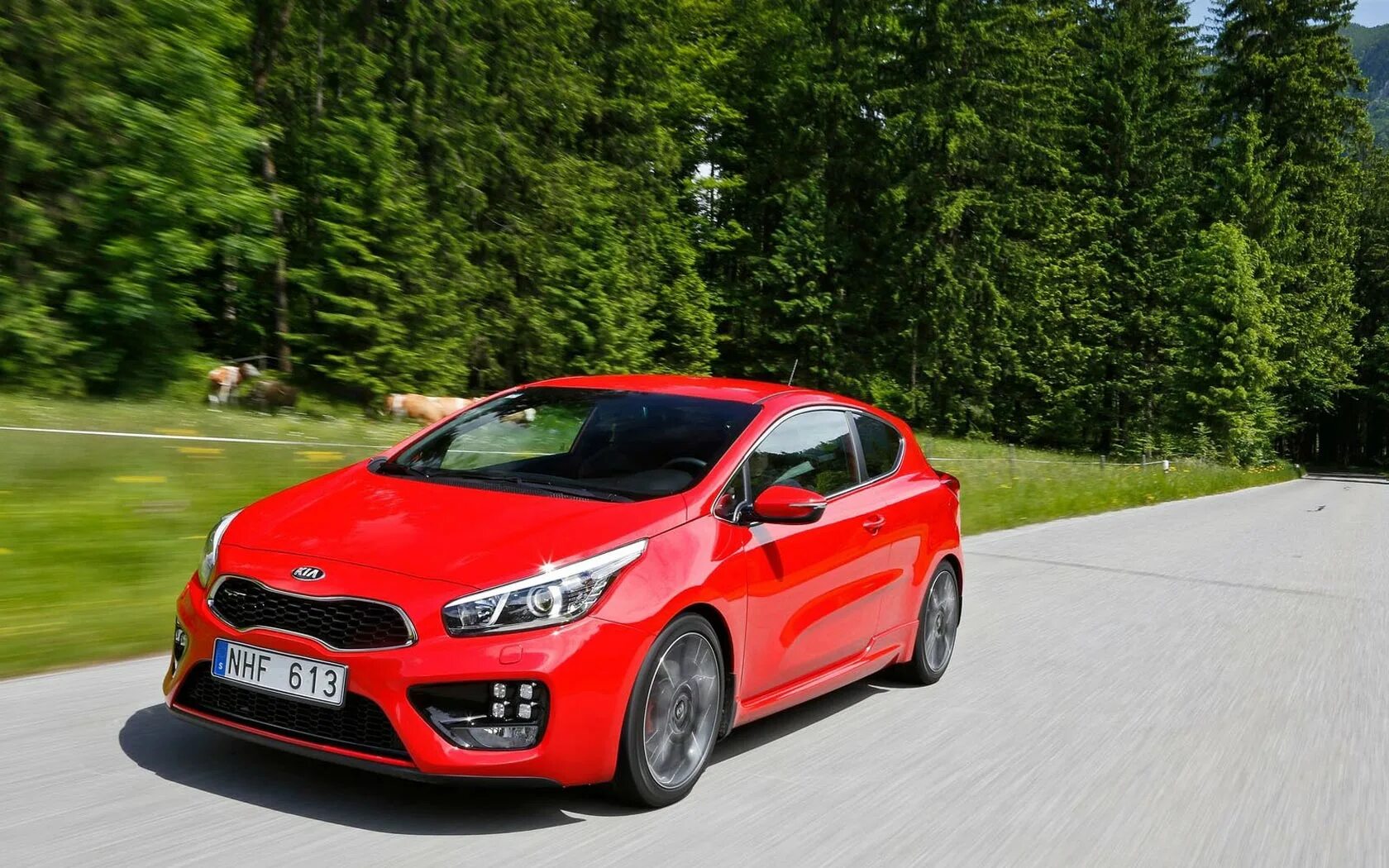 Машина Киа СИД. Kia Ceed 2015 хэтчбек. Kia Ceed 3 gt. Киа СИД 2015 красный. Сид рейтинг