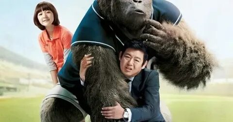 Mr go