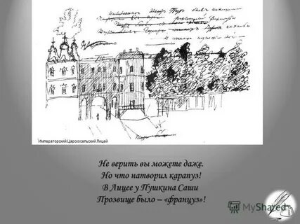 Лицей простейшие