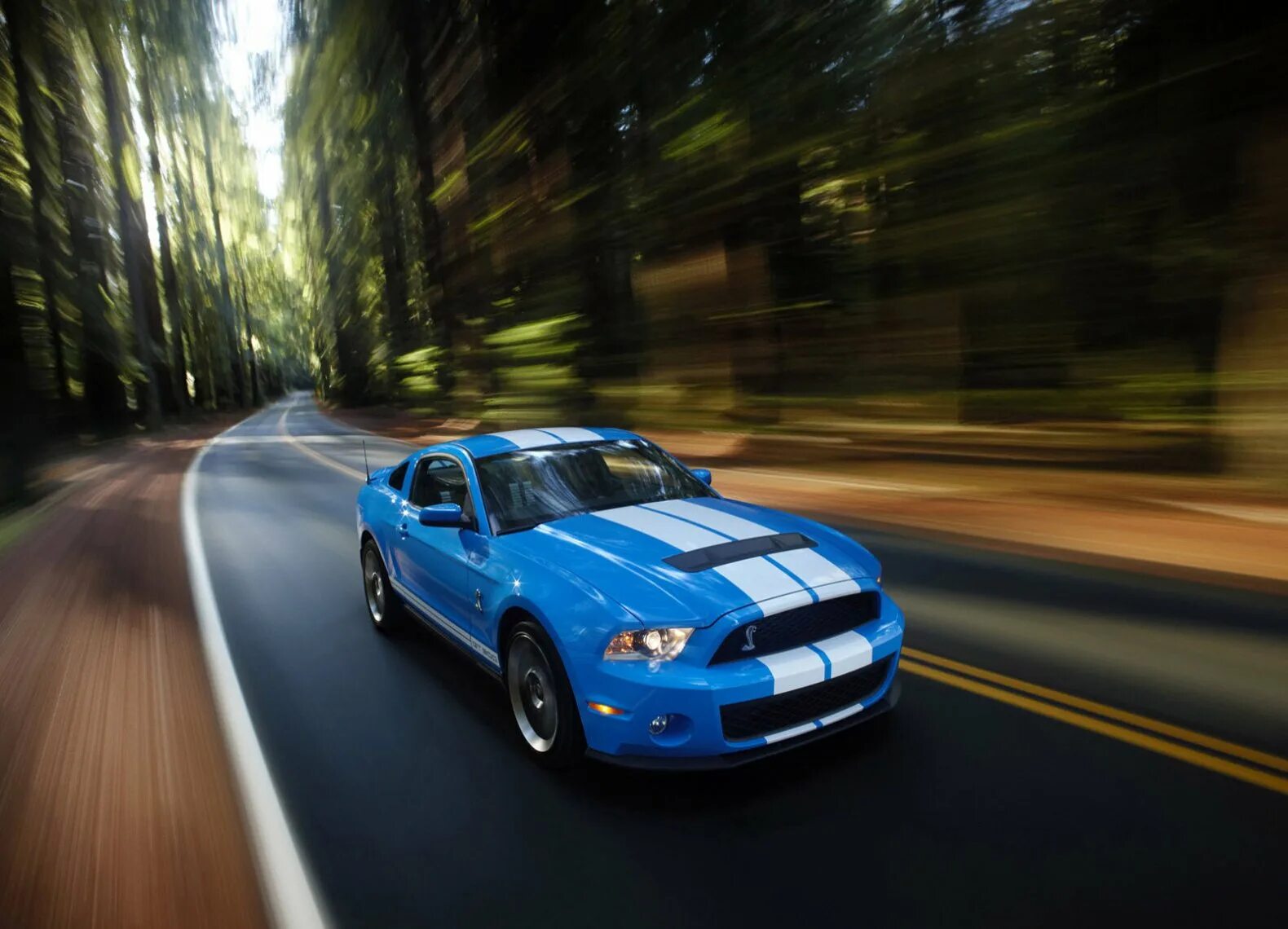 Ford mustang shelby gt500 жажда скорости. Ford mustang shelby gt500 2014. Мустанг какая скорость. Мустанг gt 350. Shelby форд мустанг жажда скорости.