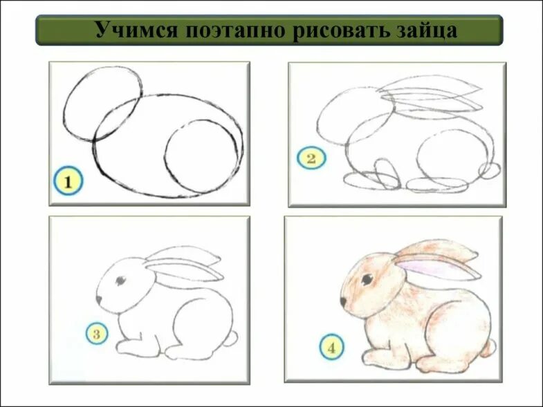 Как нарисовать зайца поэтапно для детей. Поэтапное рисованиезаца. рисование зайца. пошаговый рисунок зайца. уроки рисования зайца.