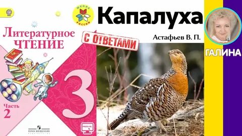Литература тест капалуха