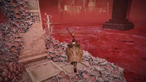 Red rots