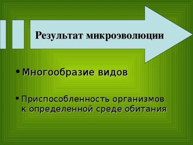 Тест по биологии микроэволюция. Результаты микроэволюции. Формы микроэволюции. Что является результатом микроэволюции. Макро и микроэволюция.