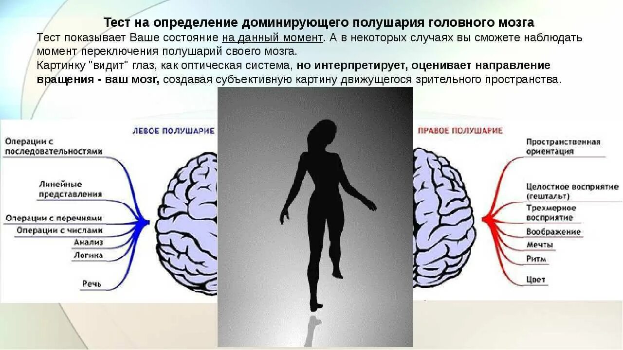 Полушария мозга. Психологический тест на полушария мозга. Тест на доминирующее полушарие мозга. Доминантные полушария мозга.