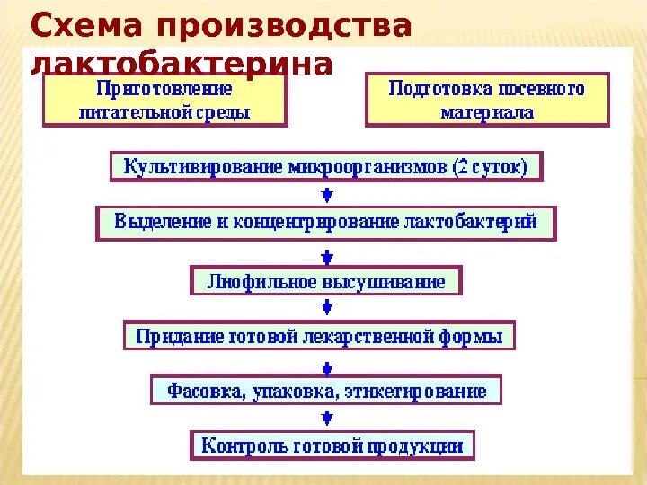 Технологическая схема производства пробиотиков. Технологическая схема получения пробиотиков. Схема технологического процесса производства пробиотиков. Технологическая схема производства лактобактерина.